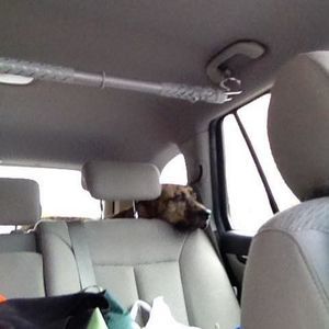 Meet your Posher, Courtney